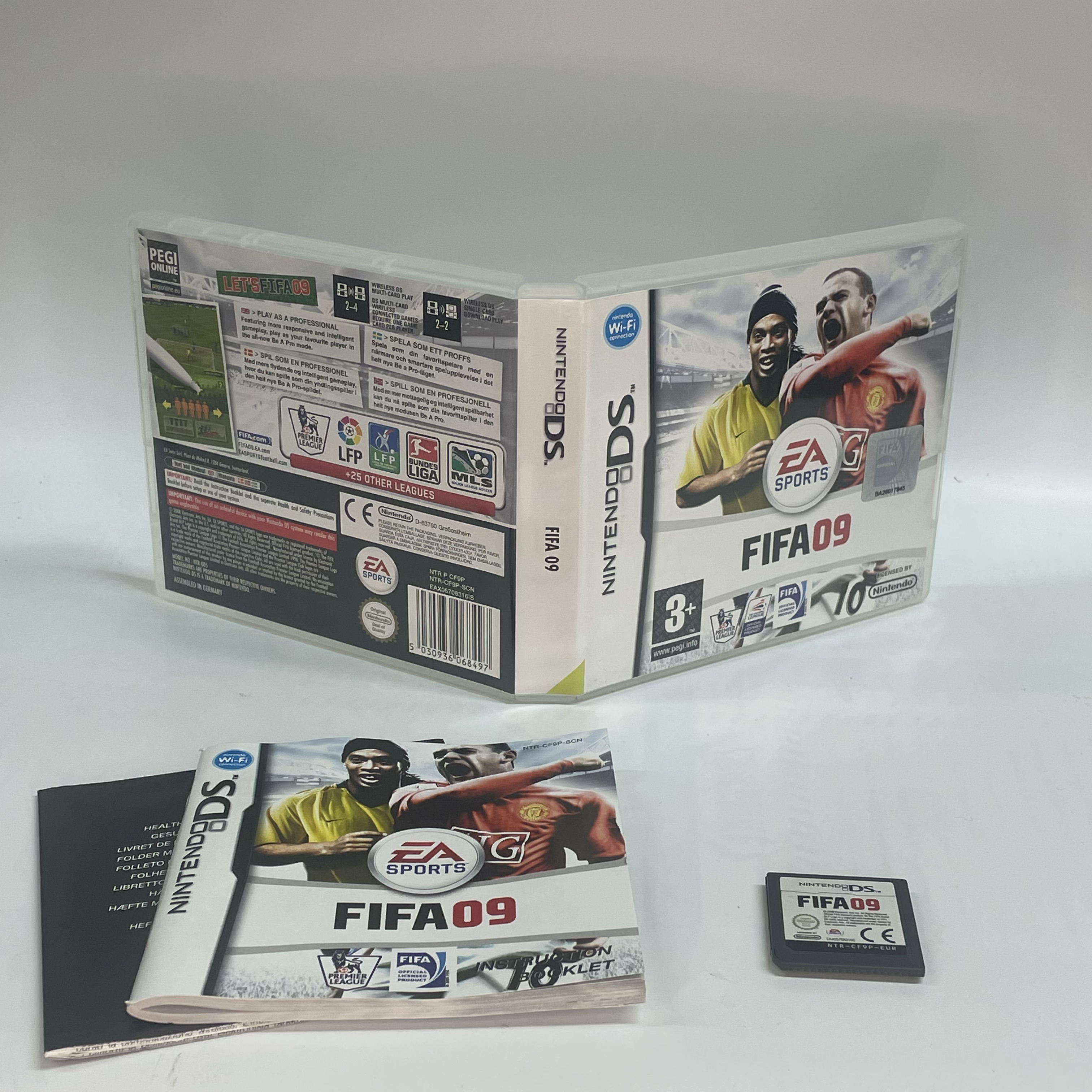 FIFA 09 DS