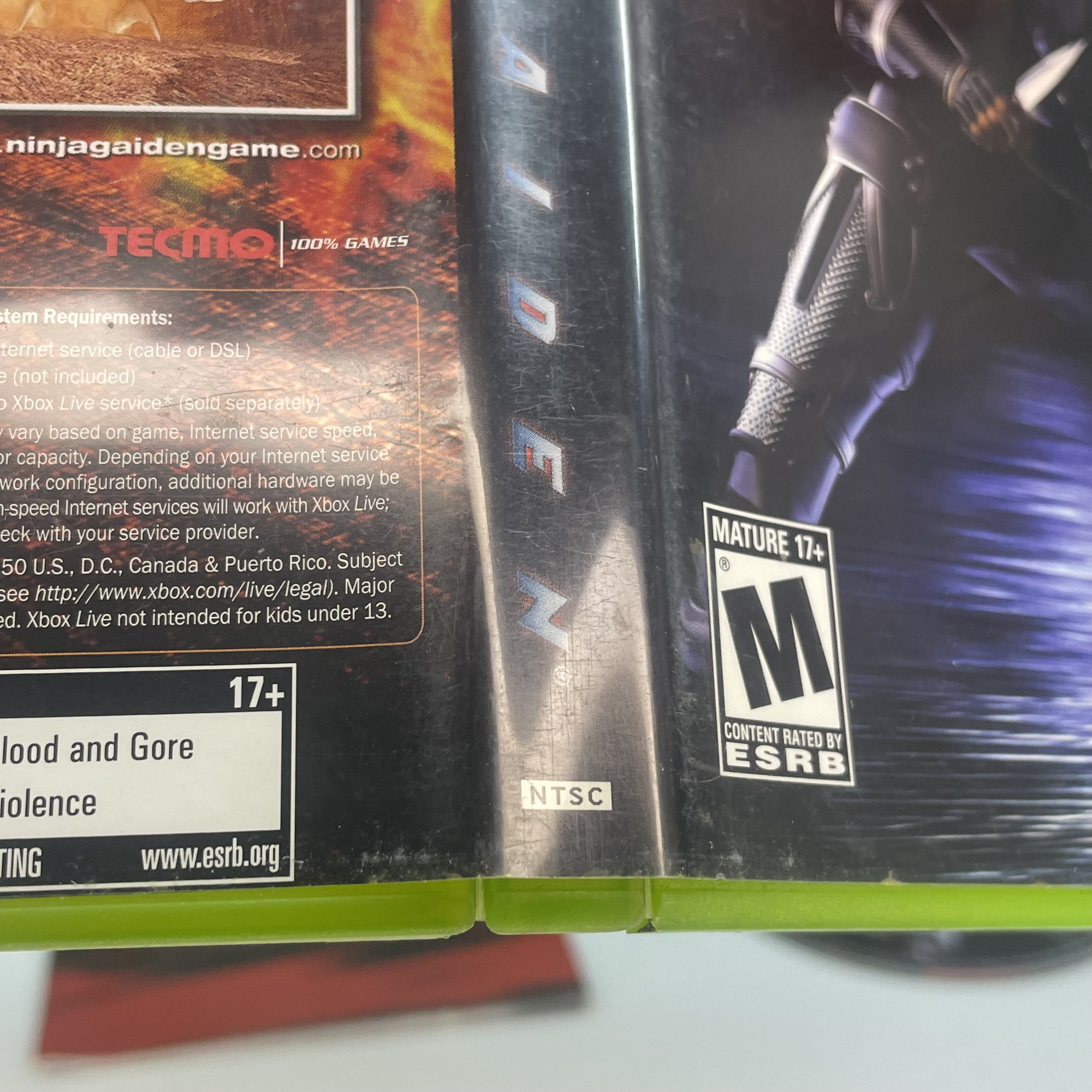 Ninja Gaiden